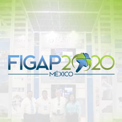 Portada de portafolio FIGAP